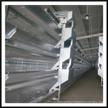 High Quality and Full Automatic Layer Battery Cage